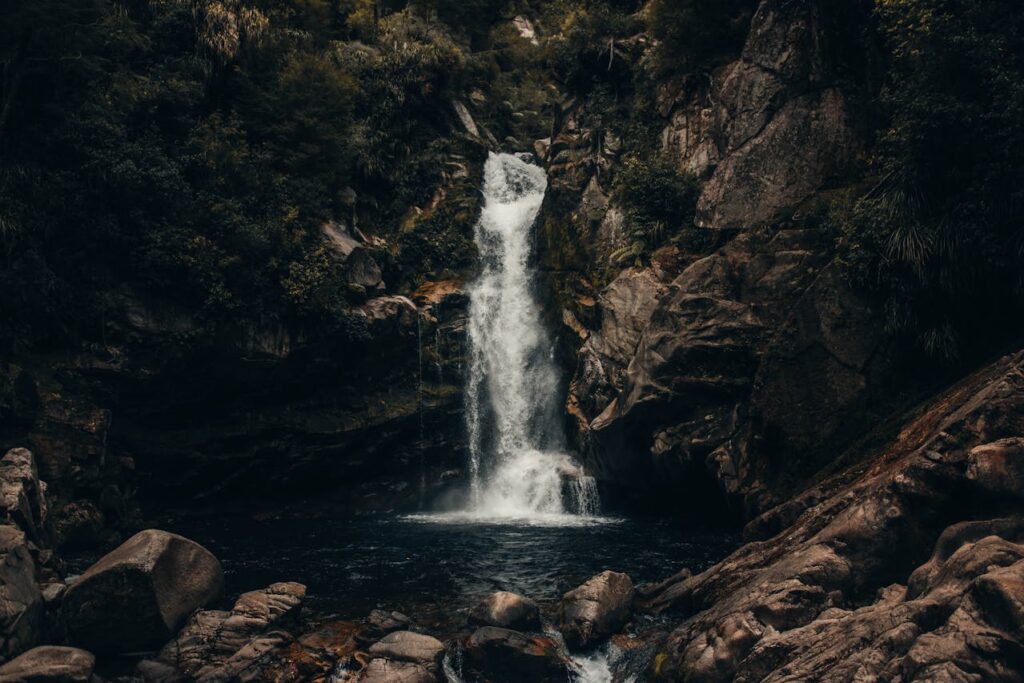 Abel Tasman