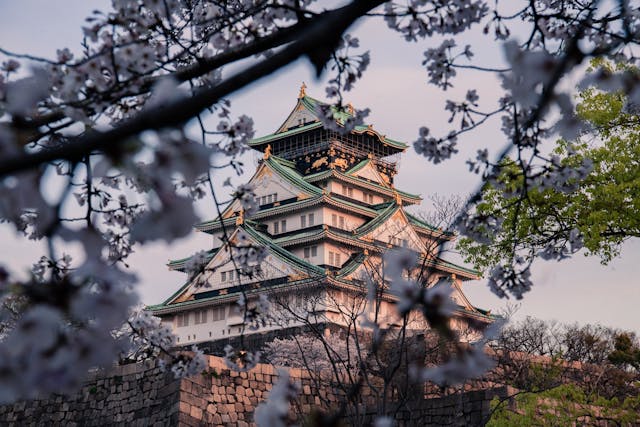 Osaka castle