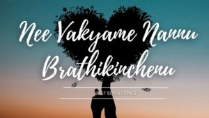 Nee Vakyame Nannu Brathikinchenu Song lyrics